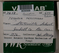 Image Associated With the Occurence